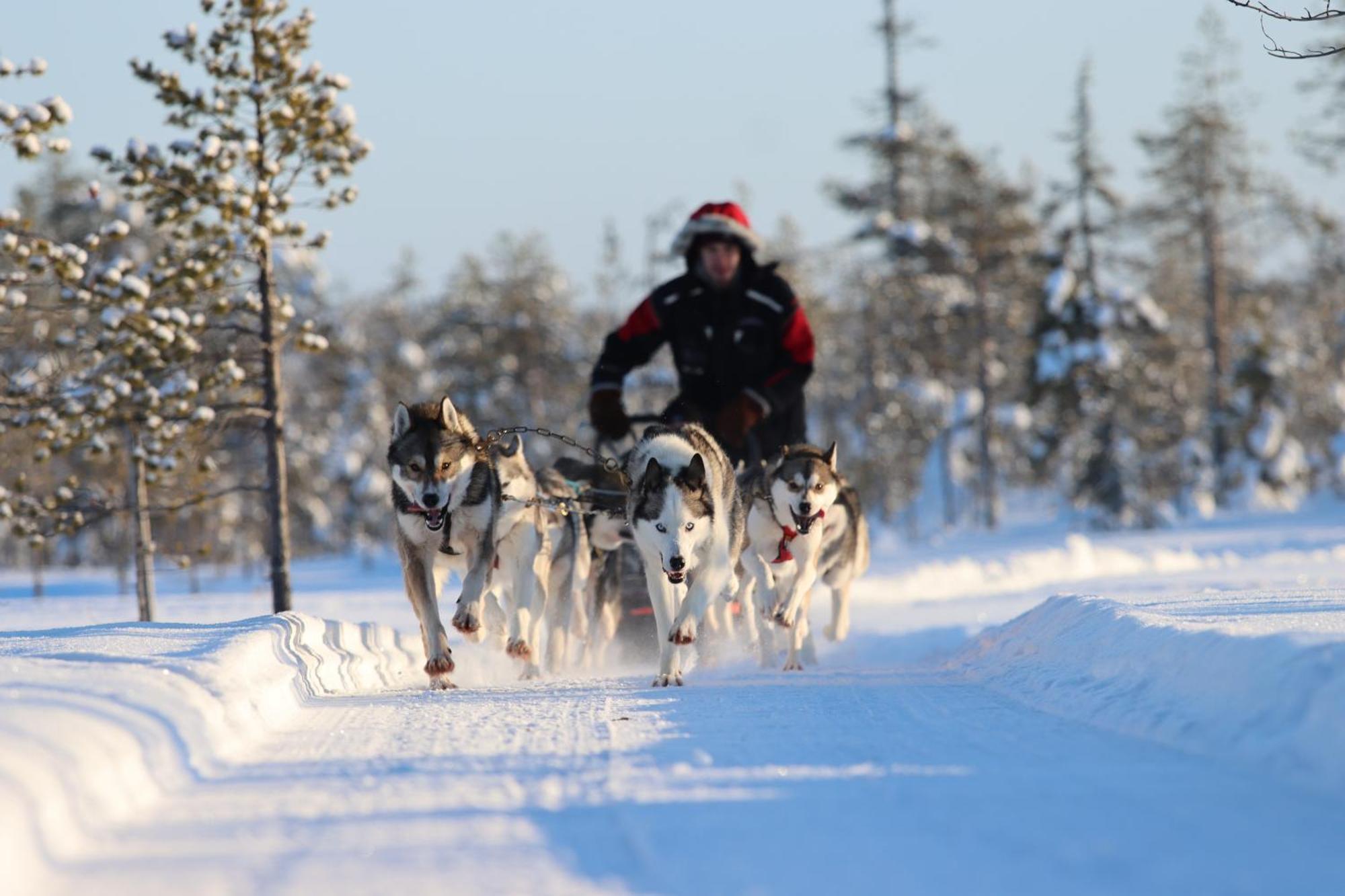 Hotel Metsaehirvas Rovaniemi Eksteriør bilde