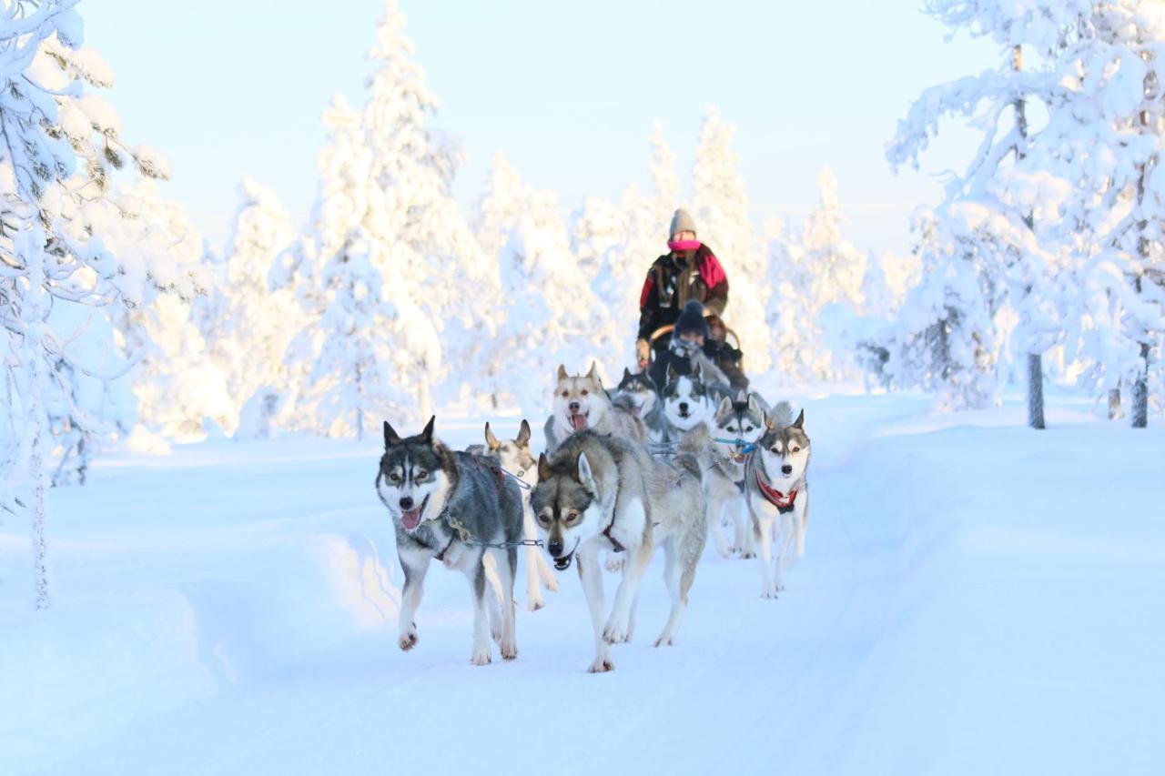 Hotel Metsaehirvas Rovaniemi Eksteriør bilde